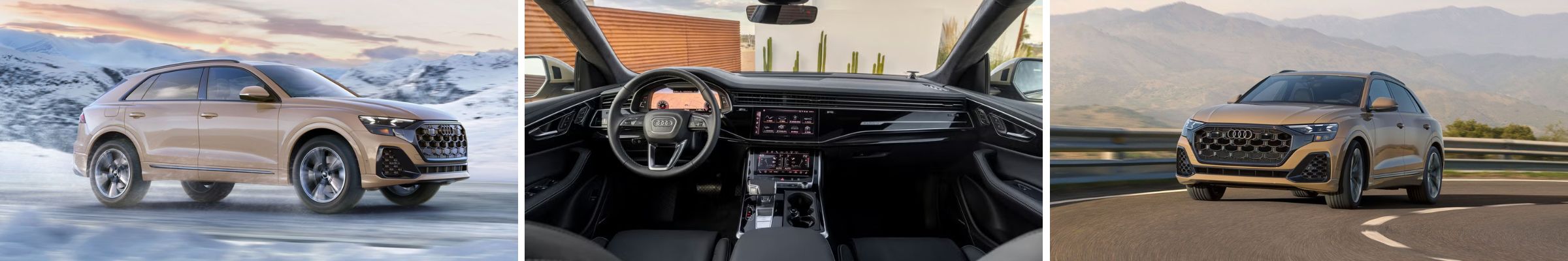 2025 Audi Q8