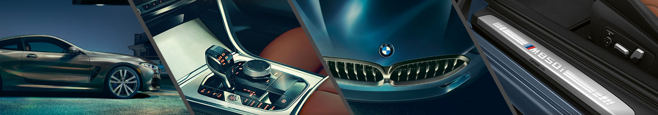 2020 BMW 8 Series For Sale Madison WI | Sun Prairie