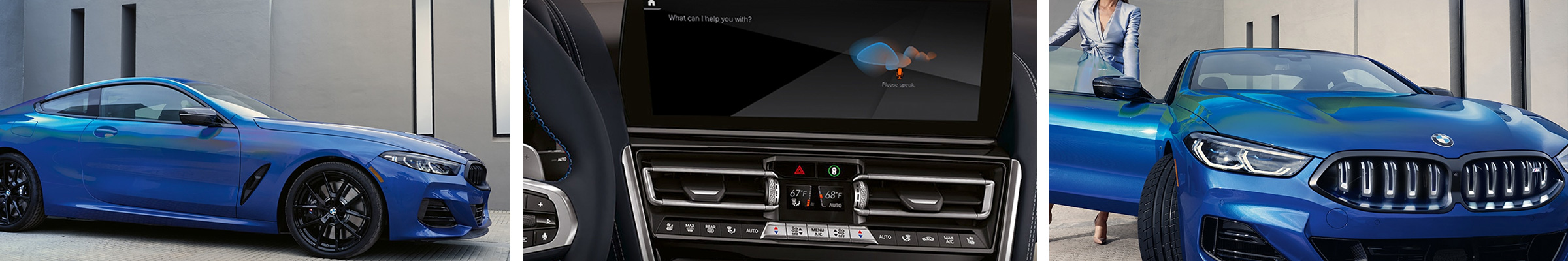 2023 BMW 8 Series For Sale near Brunswick GA