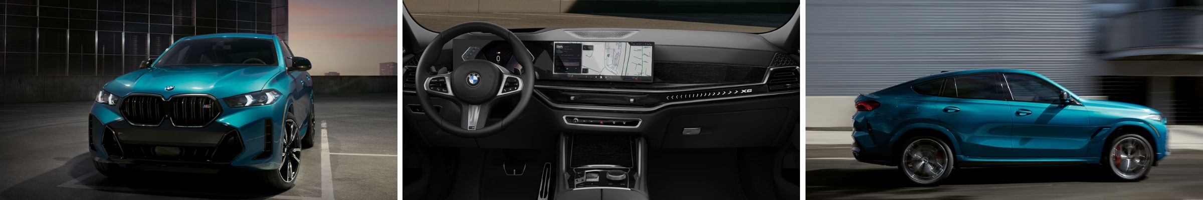 2025 BMW X6
