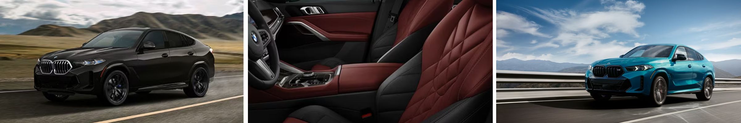 2025 BMW X6