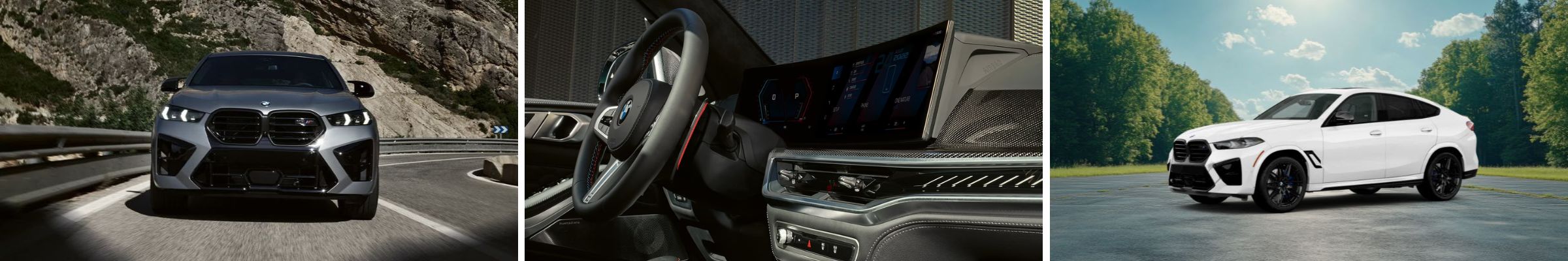 2026 BMW X6 M For Sale Savannah GA | Pooler