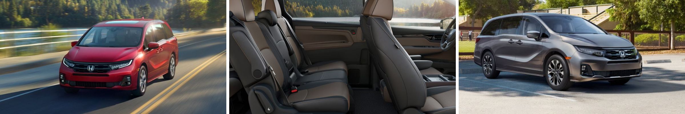 2026 Honda Odyssey For Sale Staunton VA | Harrisonburg