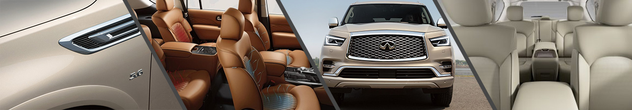 2019 INFINITI QX80 For Sale Charleston SC | Mount Pleasant