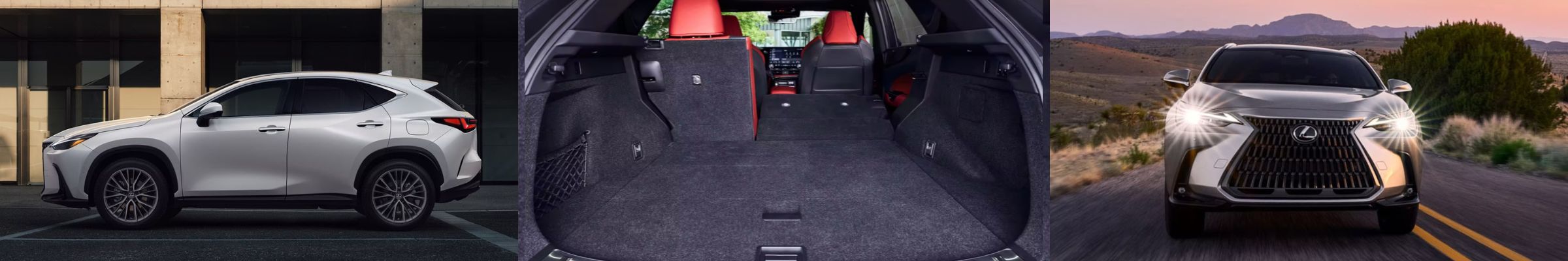 2024 Lexus NX For Sale Knoxville TN | Cleveland