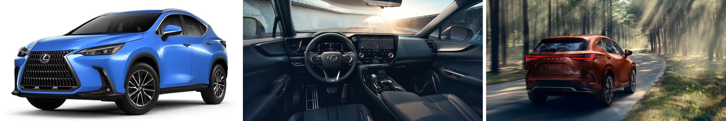 2025 Lexus NX For Sale near Philadelphia PA
