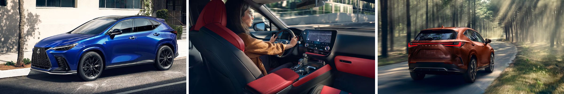 2025 Lexus NX For Sale Raleigh NC | Wake Forest