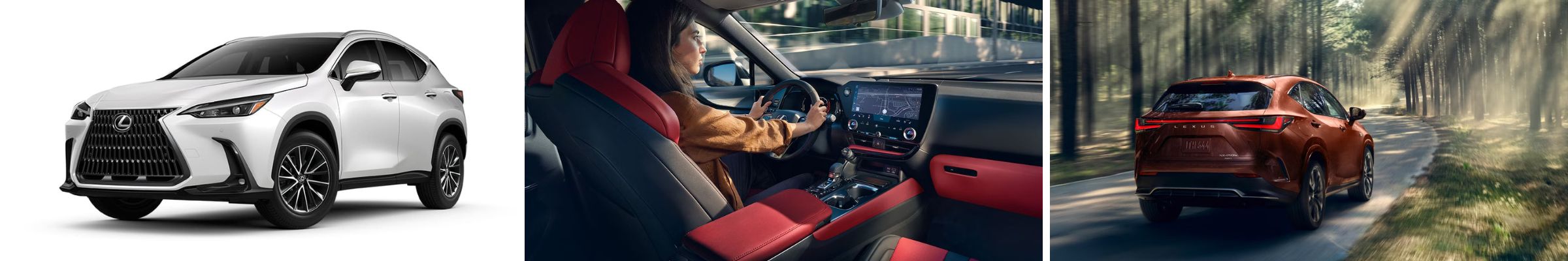 2025 Lexus NX