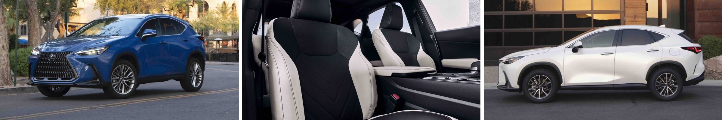 2025 Lexus NX For Sale near Mason OH