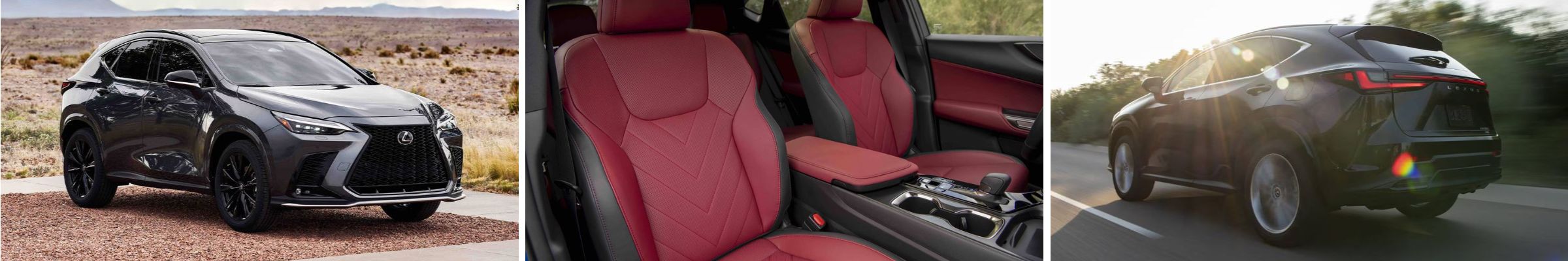 2025 Lexus NX For Sale near Union KY