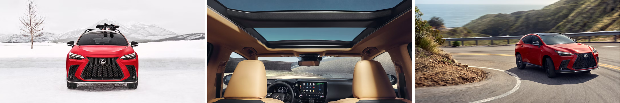 2026 Lexus NX For Sale Chattanooga TN | Cleveland