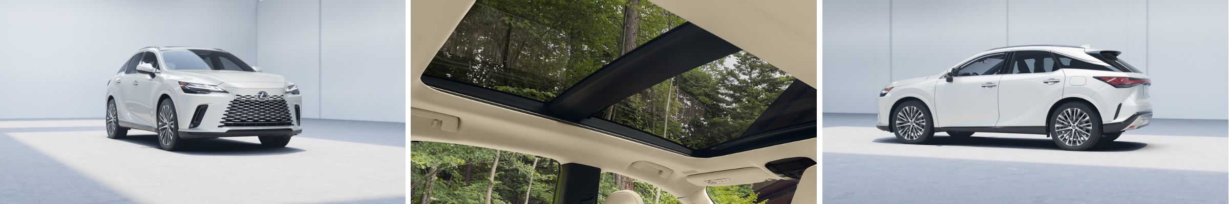 2026 Lexus RX Hybrid For Sale Knoxville TN | Cleveland