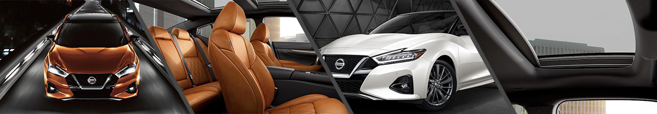 2019 Nissan Maxima For Sale Jacksonville NC | Wilmington