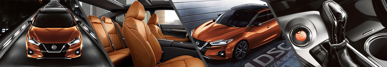 2019 Nissan Maxima For Sale Raleigh NC | Durham
